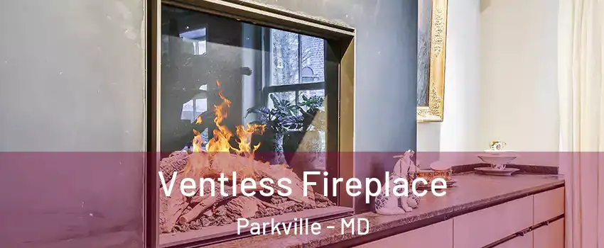  Ventless Fireplace Parkville - MD
